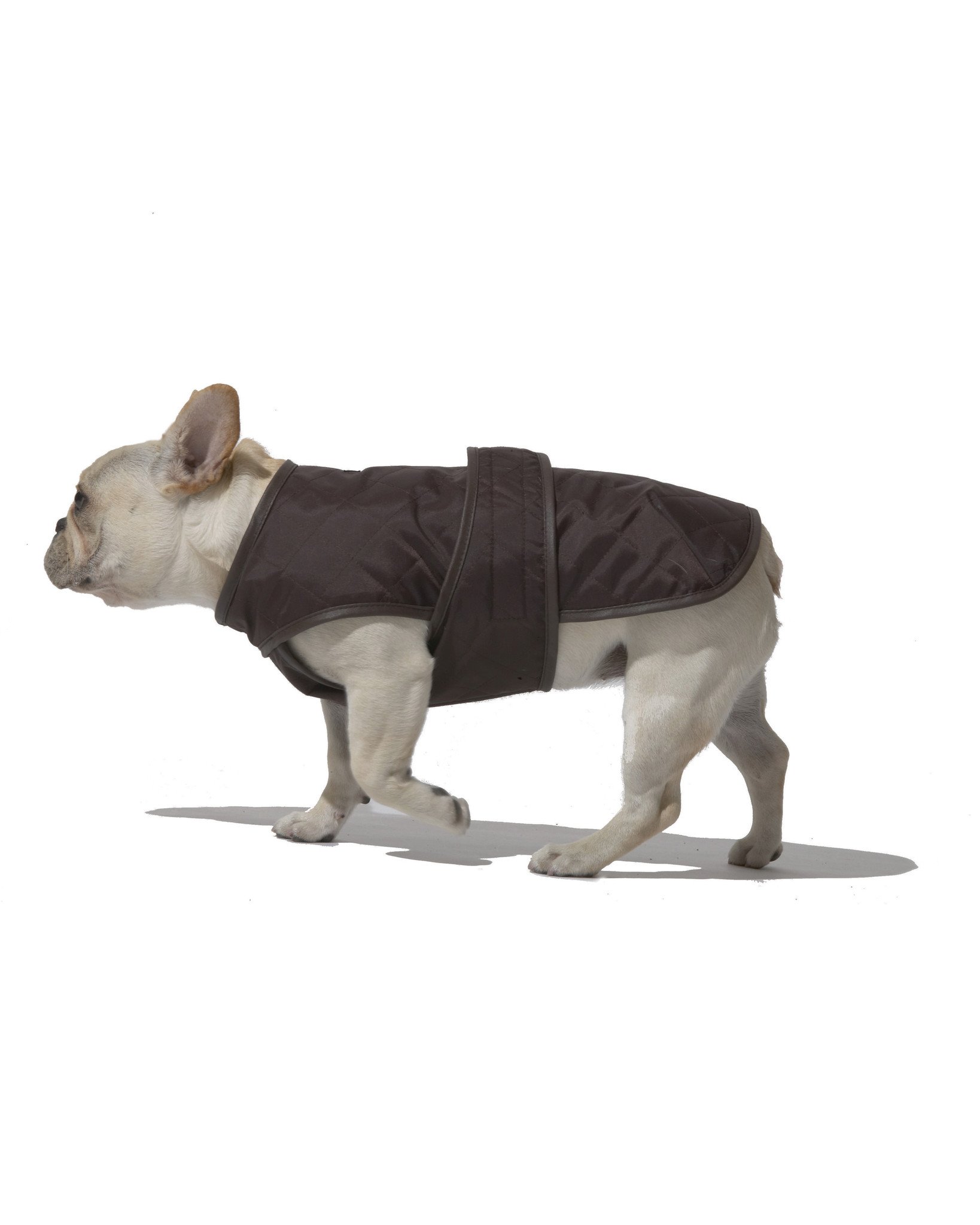 十大足球赌注软件排行榜