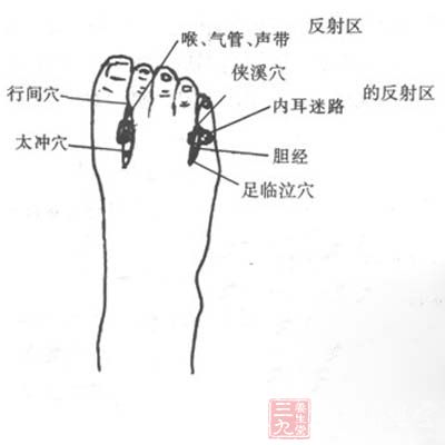 足球赌注软件APP