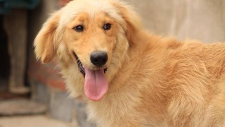 十大足球赌注软件