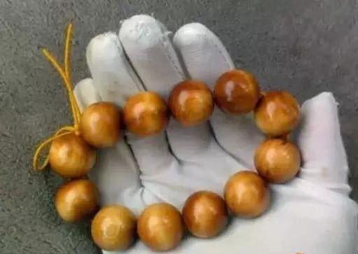 足球赌注软件APP