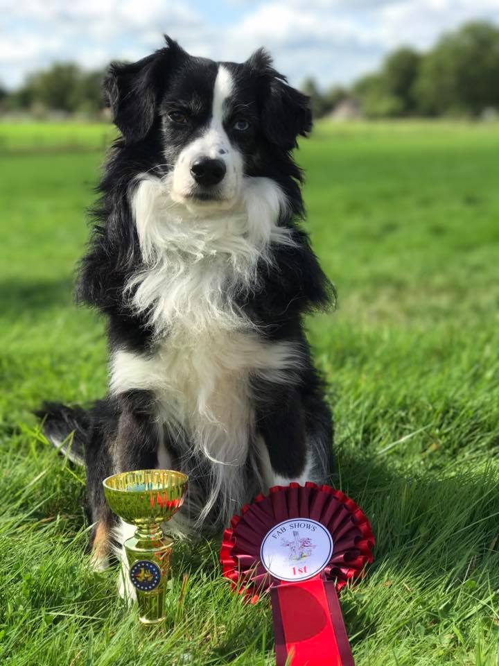 十大足球赌注软件