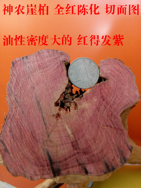 足球赌注软件APP