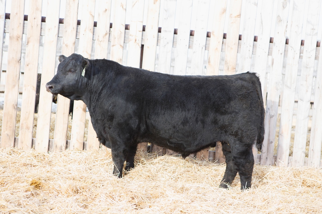 十大足球赌注软件排行榜