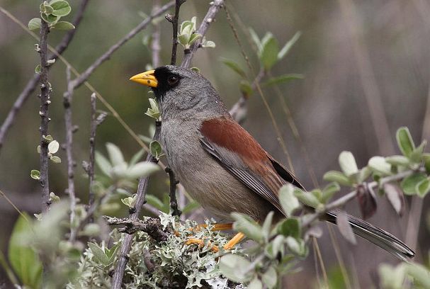 十大足球赌注软件