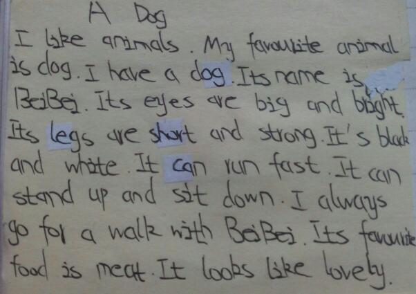 足球赌注软件APP