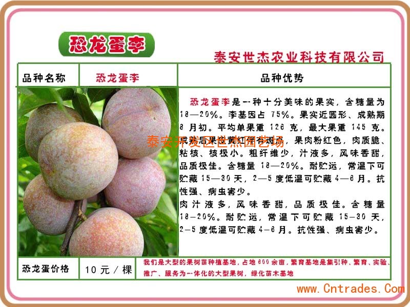 十大足球赌注软件