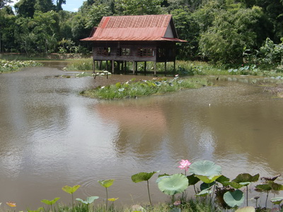足球赌注软件APP