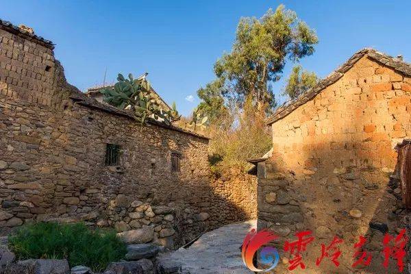 足球赌注软件APP