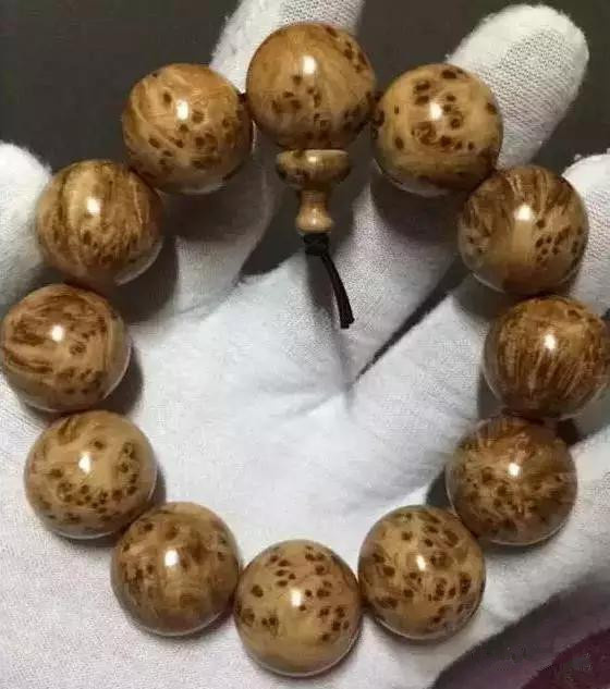 足球赌注软件APP