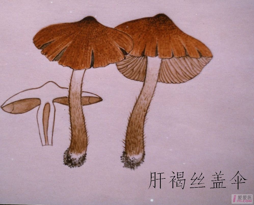 十大足球赌注软件