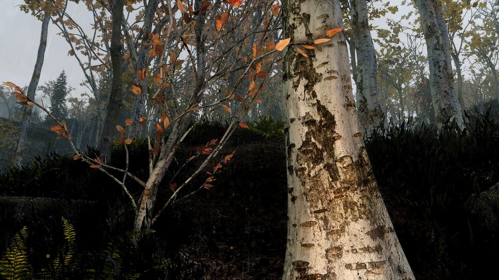 足球赌注软件APP