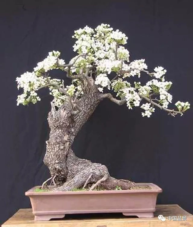 十大足球赌注软件