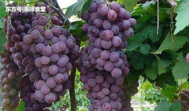 十大足球赌注软件